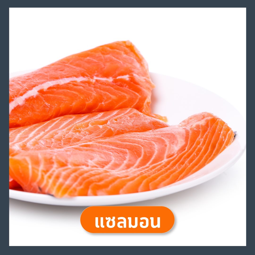 แซลมอน