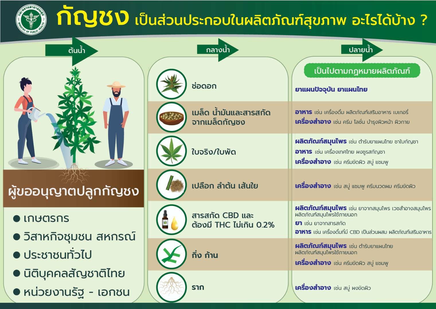 ประโยชน์ กัญชง ไทย