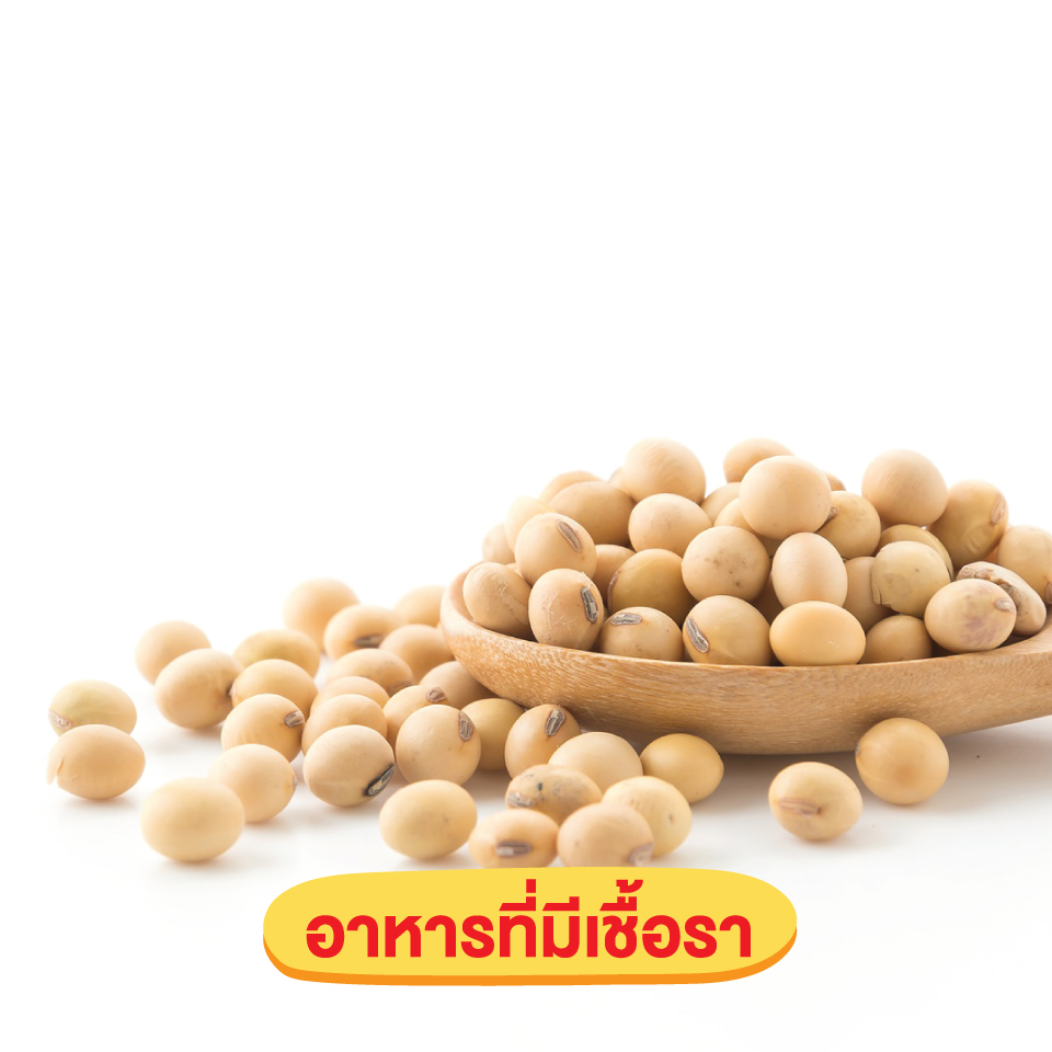อาหารที่มีเชื้อรา