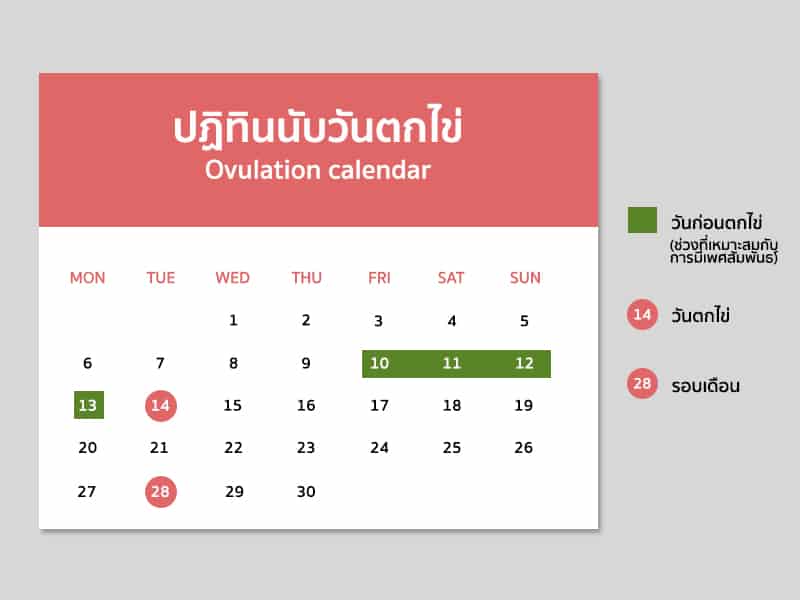 การนับวันตกไข่ด้วยตัวเอง