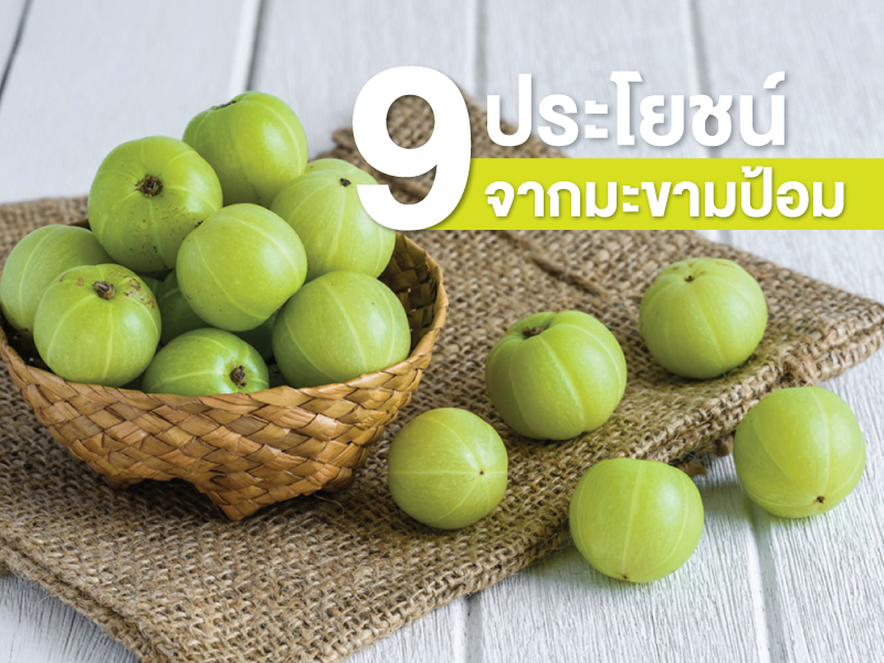 ประโยชน์จากมะขามป้อม