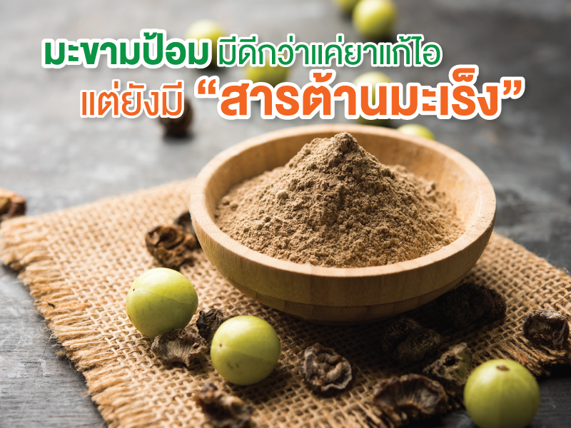 มะขามป้อมมีดีกว่าแค่ยาแก้ไอ