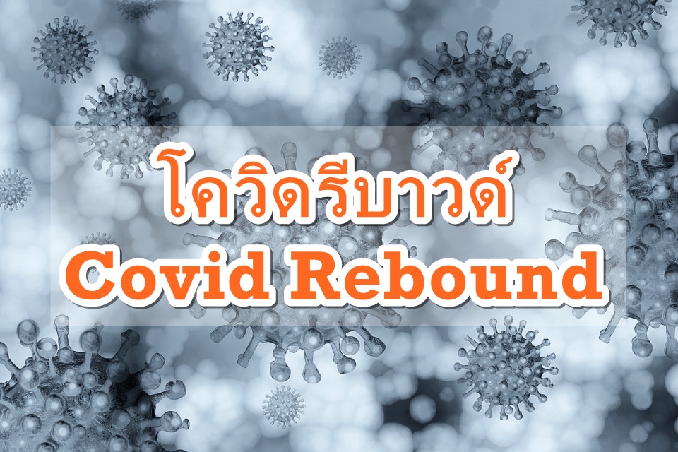 โควิดรีบาวด์ Covid Rebound