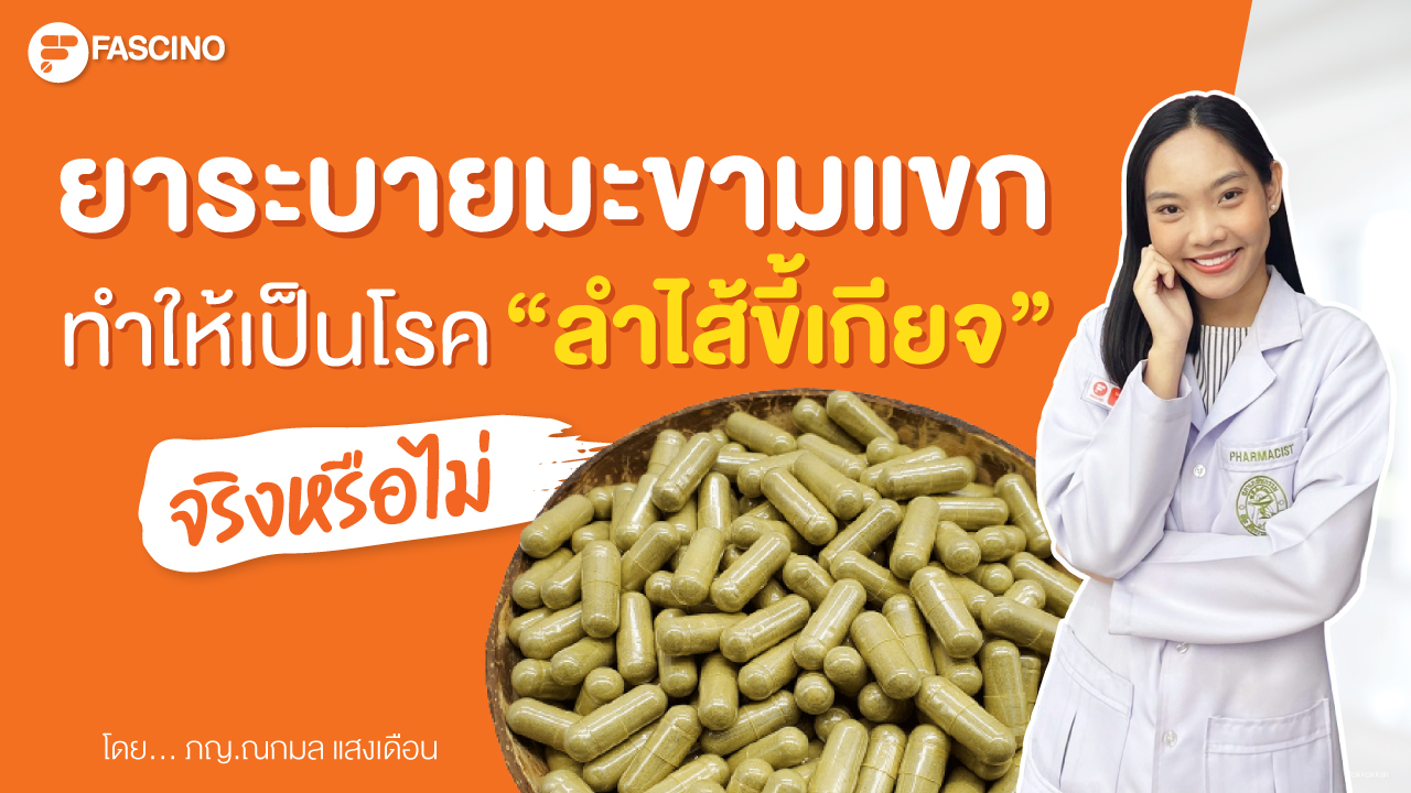 ทาน ยาระบายมะขามแขก บ่อยๆ ทำไมถึงลำไส้ขี้เกียจ