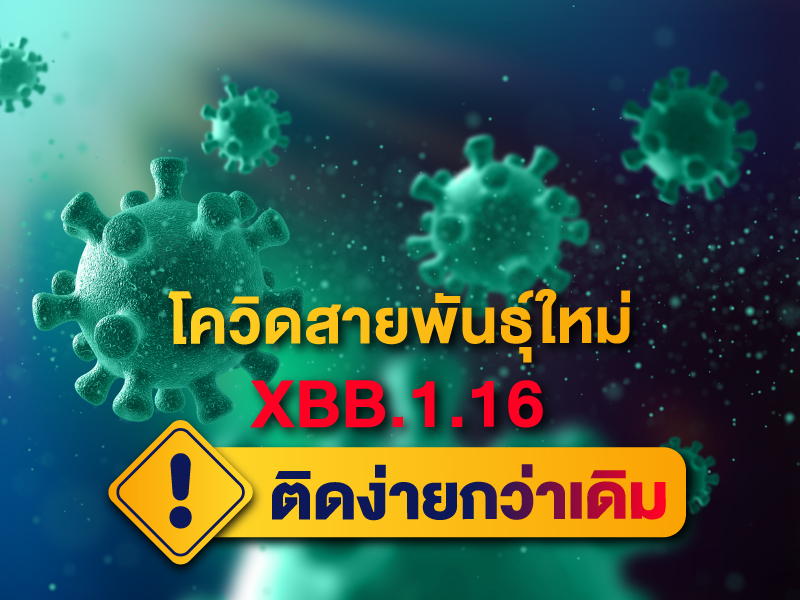 โควิดสายพันธุ์ใหม่ XBB.1.16 ติดง่ายกว่าเดิม ?