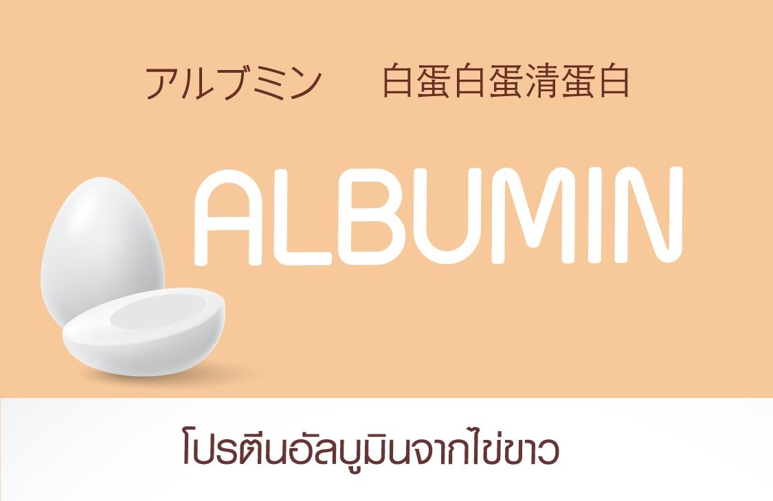 Brochure  Albumin