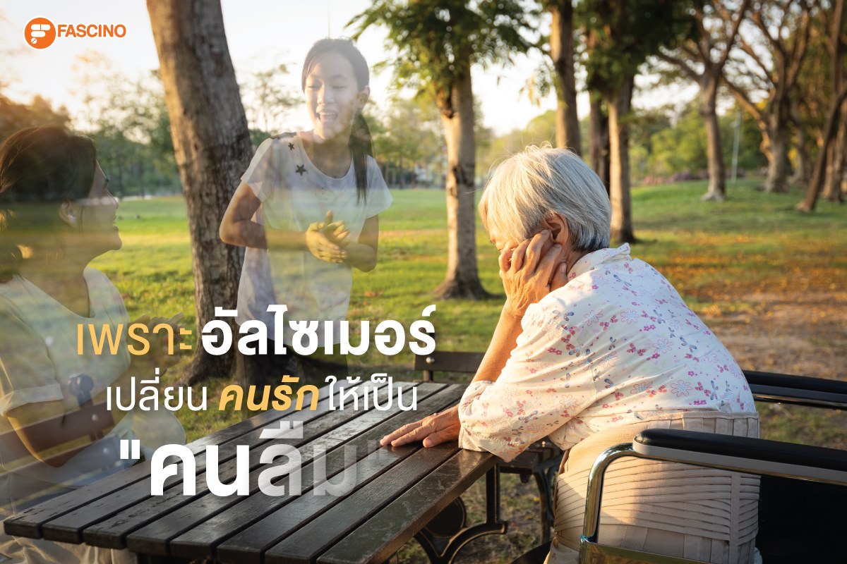 alzheimers disease ฟาสซิโน Fascino