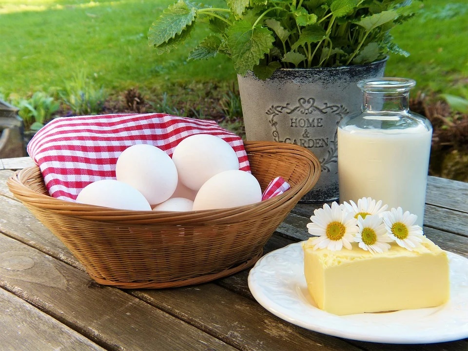 calcium rich food