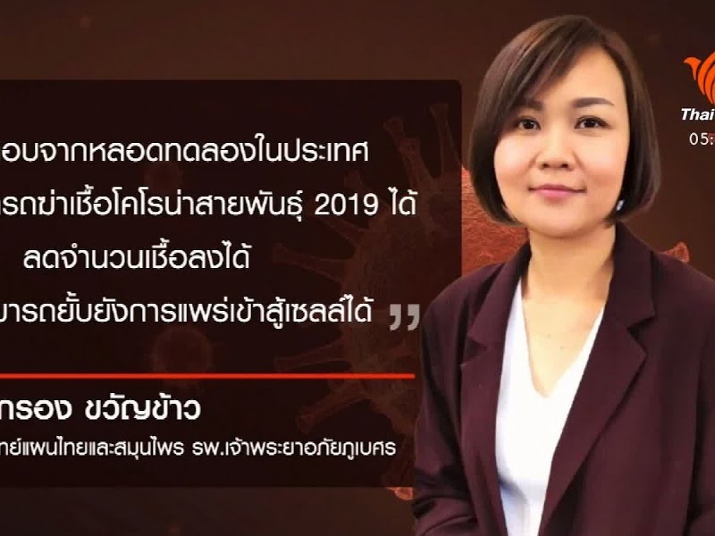 ฟ้าทะลายโจร กันโควิด-19 ไม่ได้