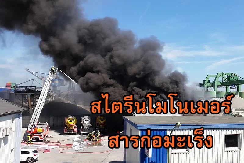 สไตรีนโมโนเมอร์ สารก่อมะเร็ง