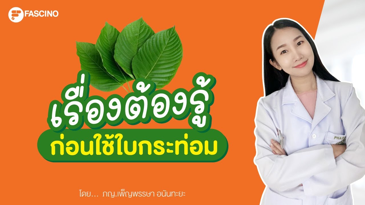 ประโยชน์ โทษ จุดเด่น ข้อควรระวัง ของใบกระท่อม