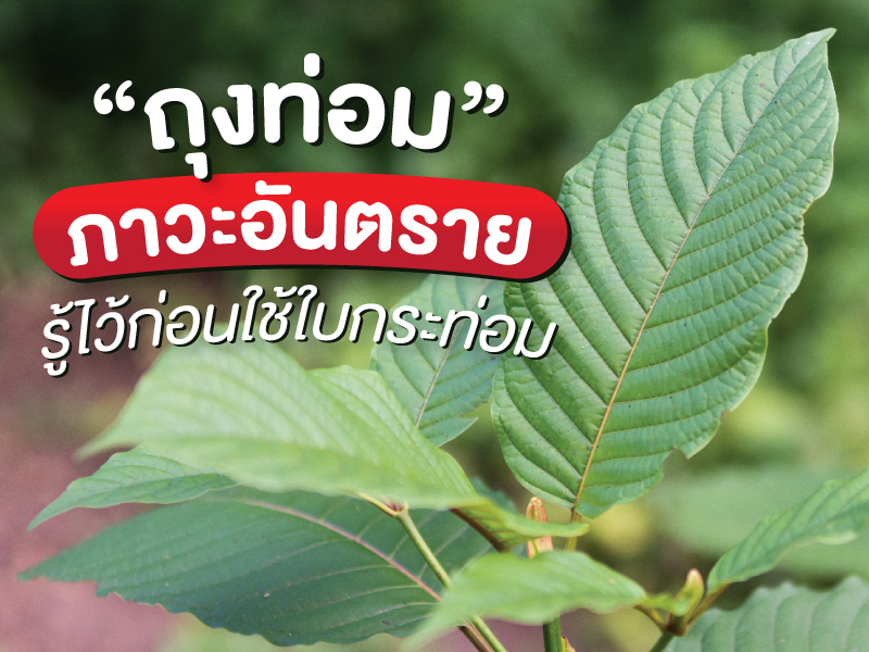 ถุงท่อม กระท่อม
