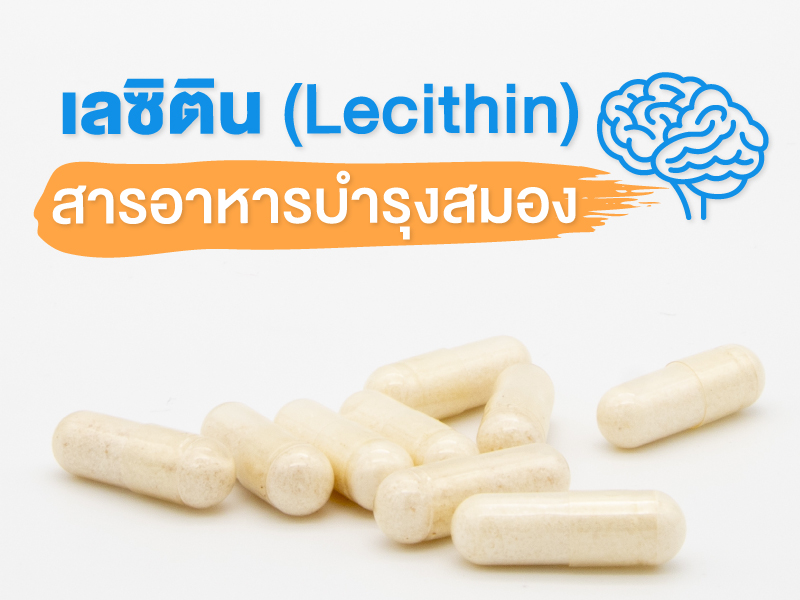 เลซิติน