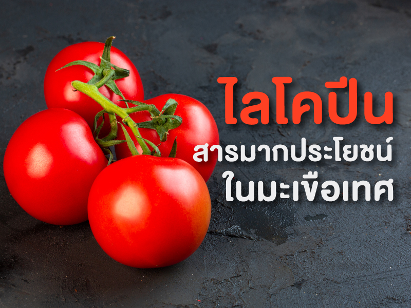 ไลโคปีน ในมะเขือเทศ