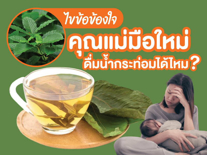 ไขข้อข้องใจ ! คุณแม่มือใหม่ดื่มน้ำกระท่อมได้ไหม อันตรายต่อลูกหรือเปล่า ? 