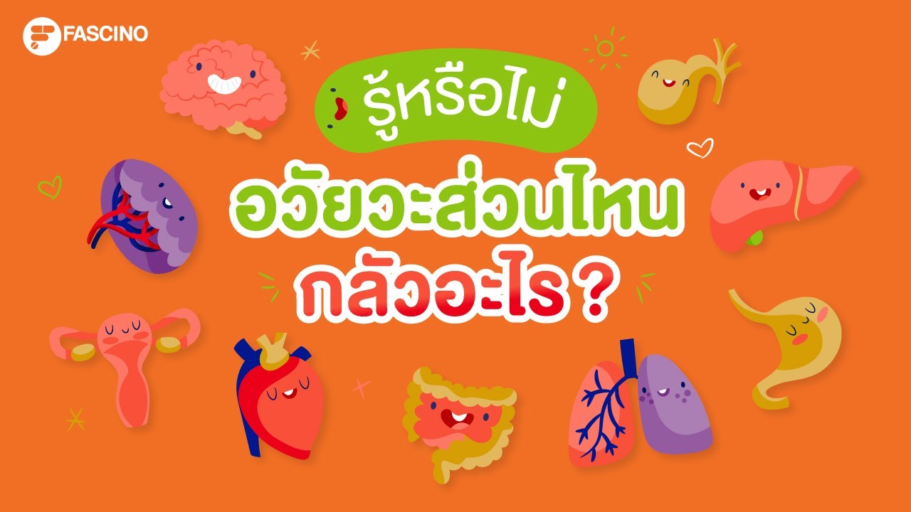 อวัยวะส่วนไหน กลัวอะไร